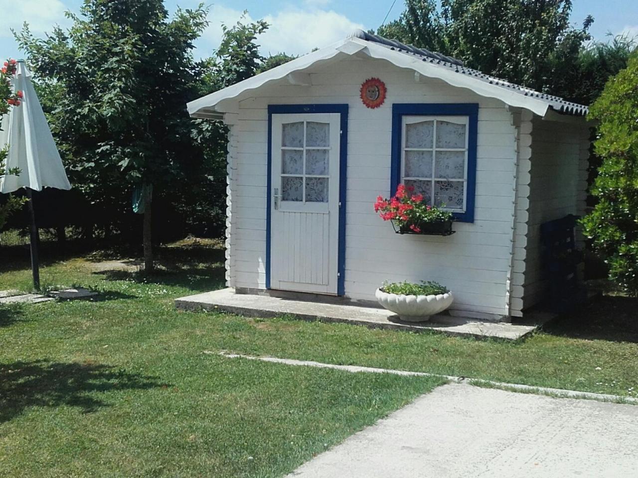 B&B La Zanzara Adria Exteriör bild